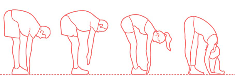 An illustration of a person bending forward from the hip for a hamstring stretch.
