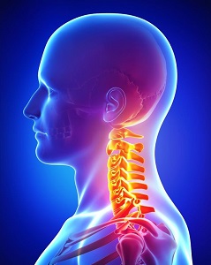 skeletal heat image of neck